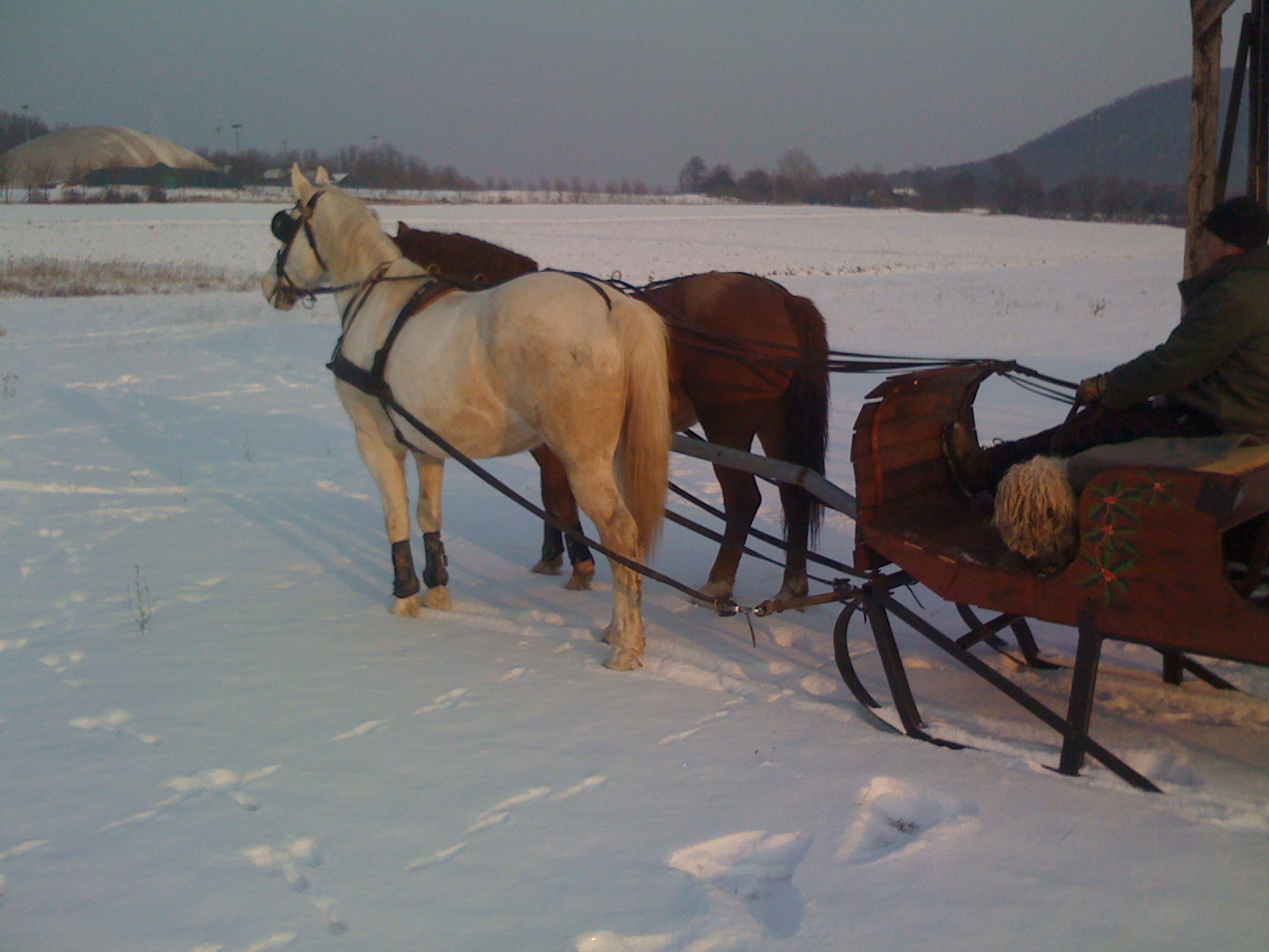 horse drawn sleigh